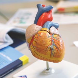 Ausbildung Pflegefachkraft